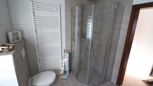 a shower stall in a bathroom with a toilet at Ferienhaus Steinbach in Oberasbach