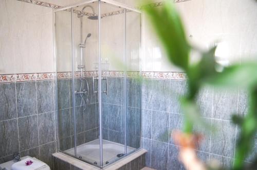 a bathroom with a shower and a toilet at Aloha Burgau Guesthouse in Burgau