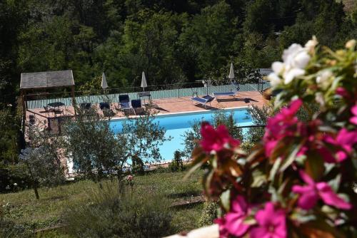 vistas a una piscina con sillas y flores en Villa Belvedere, en Pieve Fosciana