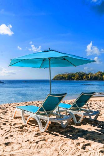 two lounge chairs and an umbrella on a beach at Mount Irvine Bay Resort in Grafton
