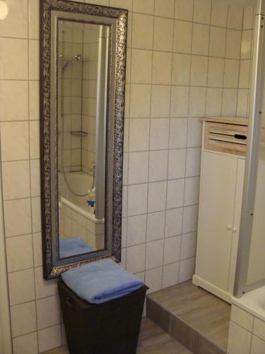 a bathroom with a mirror and a trash can at Ferienwohnung am Nationalpark in Hellenthal