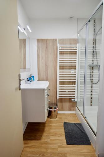 une salle de bain avec un lavabo et une douche dans l'établissement Les Appartements Saint-Michel - centre-ville 2 chambres 90m2 avec garage, à Saint-Brieuc