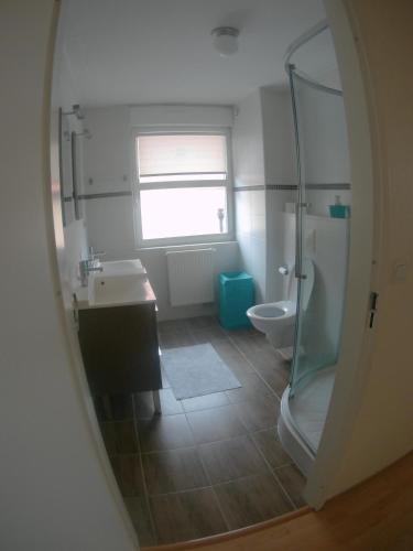 une salle de bain avec une douche, un lavabo et des toilettes dans l'établissement Villa du chemin des Anglais, à Berck-sur-Mer