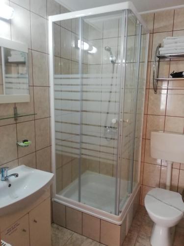 a bathroom with a shower and a toilet and a sink at Casa Soare check-in independent in Sighişoara