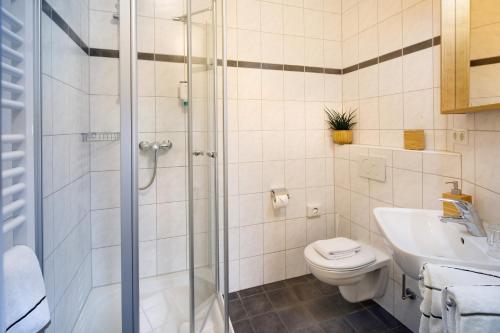 a bathroom with a shower and a toilet and a sink at Rosi Boutique Hotel in Regensburg