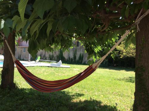 a hammock hanging from a tree in a yard at L accueillante B&B in Bédarieux