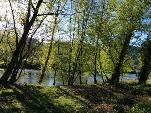 a view of a river through the trees at L accueillante B&B in Bédarieux