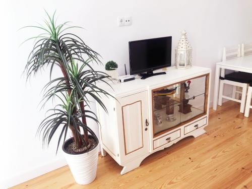 a tv cabinet with two potted plants in a room at Lisbon Central Apartment with Terrace in Lisbon