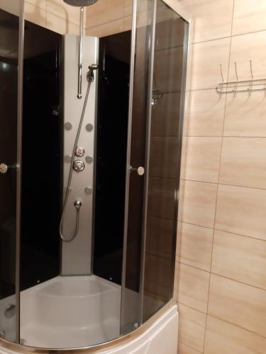 a shower with a glass door in a bathroom at Willa Marylka in Piwniczna