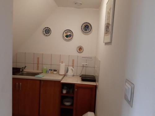 a kitchen with a sink and plates on the wall at Willa Marylka in Piwniczna