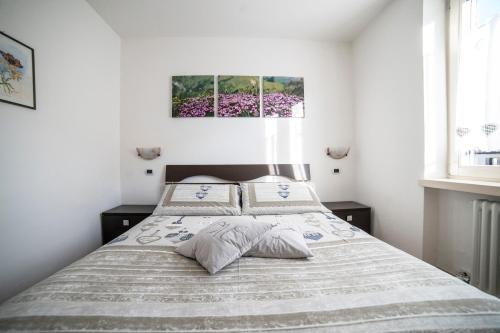 ein Schlafzimmer mit einem Bett mit zwei Kissen in der Unterkunft Appartamento Alba in Dimaro