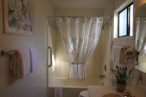 a bathroom with a shower curtain and a bath tub at Mariners Cove Inn in Westport