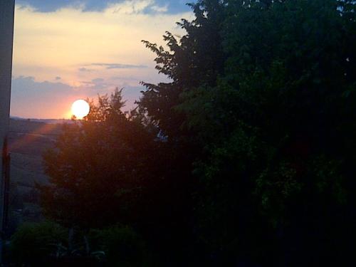 a sunset behind a tree with the sun in the sky at B&B A Casa di Mael in San Costanzo