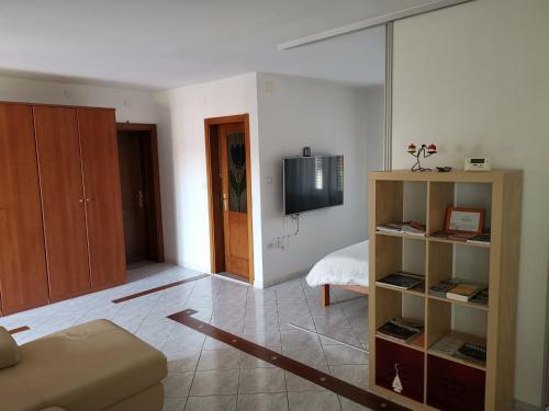 a living room with a couch and a tv at Krasen Kras Apartment in Komen
