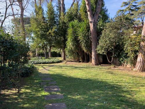 Villa Albina photo 24