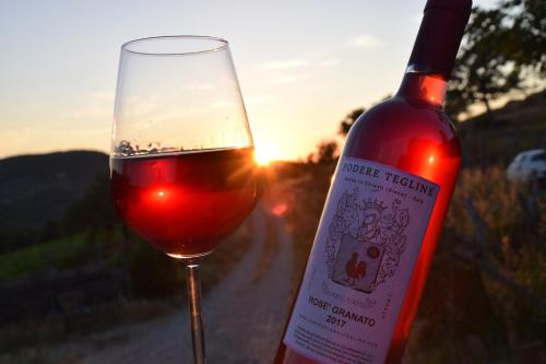 a glass of wine next to a bottle of wine at Agriturismo Podere Tegline in Radda in Chianti