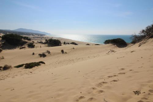 a beach with footprints in the sand and the ocean at Appartamento Oleandro Piccolo Gutturu in Marina di Arbus