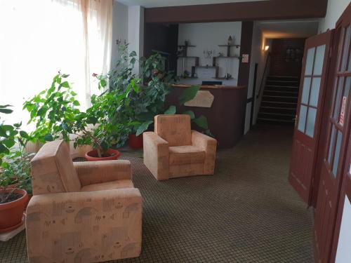 a room with boxes and chairs and plants at Valea Doamnei in Nucşoara