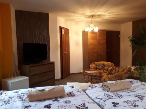 a bedroom with a bed and a tv and a chair at Penzion - Restaurant U Zámku in Bečov nad Teplou