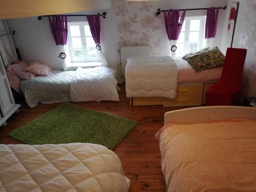 a bedroom with three beds and a green rug at Bernadette in Chouvigny