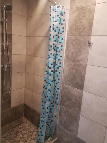a shower with a blue glass curtain in a bathroom at Noclegi u Andrzeja in Gdańsk
