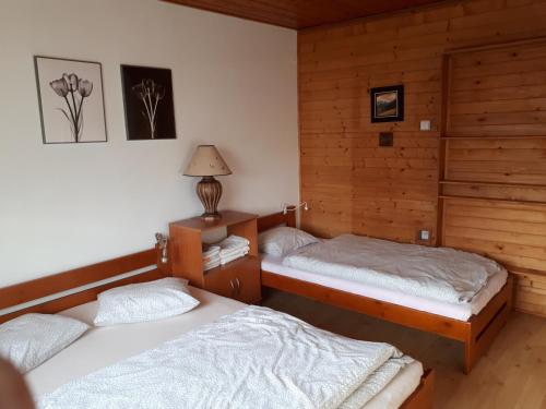 two twin beds in a room with wooden walls at Privát - Melanie in Vrchlabí
