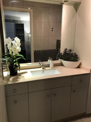 un baño con lavabo y espejo en République n°1, en Beausoleil
