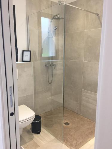 La salle de bains est pourvue d'une douche en verre et de toilettes. dans l'établissement Villa Filippi, à Porto-Vecchio