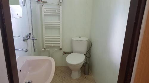 Ένα μπάνιο στο Вила Райски кът 1- Сърница