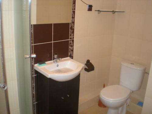 a bathroom with a sink and a toilet at Agroturystyka Na Skarpie in Wiżajny