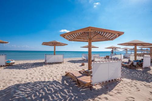 a group of chairs and umbrellas on a beach at Shams Prestige Abu Soma (Adults Only) in Hurghada