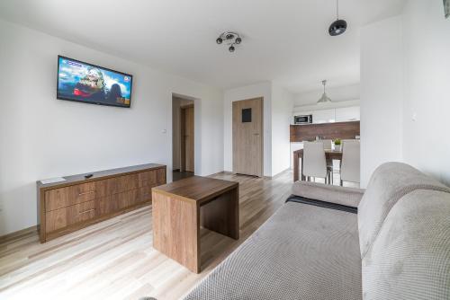 TV a/nebo společenská místnost v ubytování Apartamenty i Pokoje Gościnne Relax