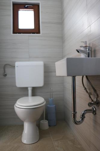a bathroom with a white toilet and a sink at The House of Dunja in Rakovica