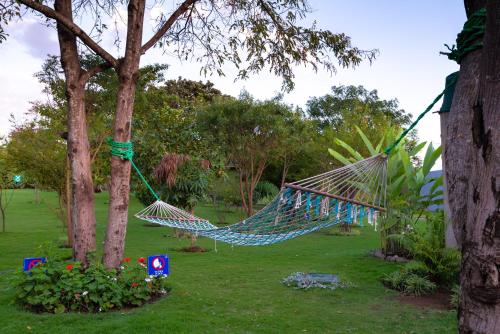 a hammock hanging from a tree in a yard at Fun Retreat Resort, Hotel and Ayurveda Spa in Arusha