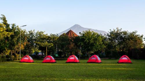 four red tents in a field with a mountain in the background at Fun Retreat Resort, Hotel and Ayurveda Spa in Arusha