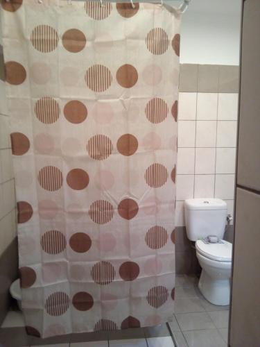 a bathroom with a shower curtain with a toilet at Comfy Apartment near the Sea in Ierápetra