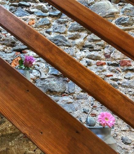 two flowers in a vase on a rock wall at PICCOLA VILLA nel Centro Storico in Arona
