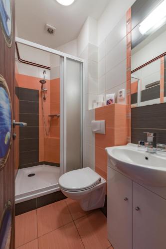 a bathroom with a toilet and a shower and a sink at Penzion Stříbrný vítr in Horní Planá