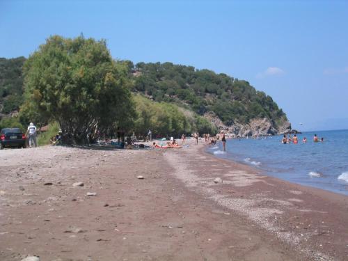 a group of people on a beach near the water at Pension Niki in Skála Sykaminéas