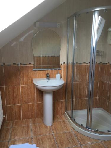 a bathroom with a sink and a shower at Gort a Phump in Ballydavid