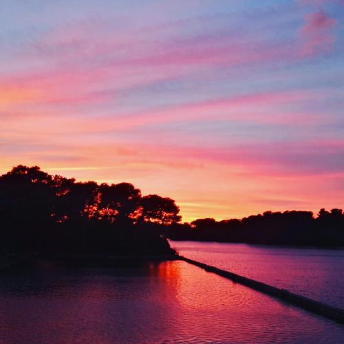 a sunset over a body of water with trees at Missipezza Residence a Frassanito in Alimini