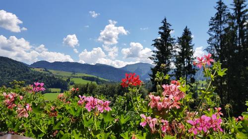 a field of flowers with mountains in the background at MONDI Resort und Chalet Oberstaufen in Oberstaufen