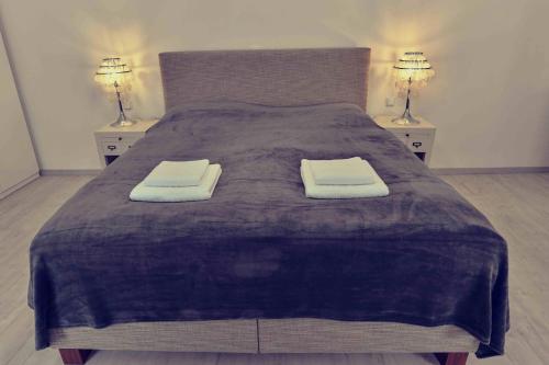 a bedroom with a large bed with two night stands at Bed&Bike Prachatice in Prachatice
