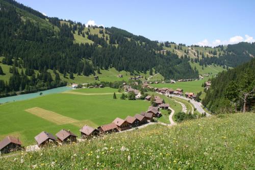 a small village in a green field with a river at Hotel TURNA Malbun in Malbun