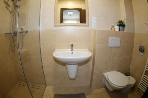 a bathroom with a sink and a toilet at Ubytování pod Pálavou in Horní Věstonice
