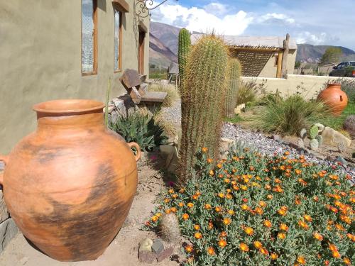 a large vase sitting next to a garden of flowers at Sendero De Las Cabras in Purmamarca