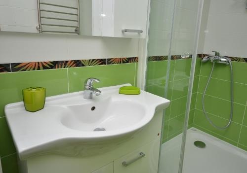 Koupelna v ubytování Apartments Rafailović Ljubo