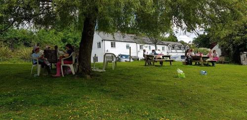 un gruppo di persone sedute sotto un albero in un parco di No 4 Trelawney Apartment - Onsite Bar - Restaurant - Horse Riding a Menheniot