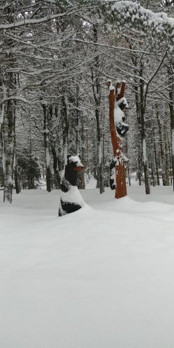 Gallery image of Auberge le Cosy in La Conception