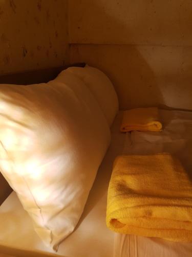 Katil atau katil-katil dalam bilik di Shinjuku Sky hostel